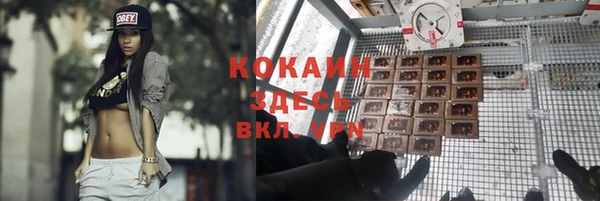 стаф Бугульма